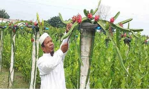 Jessica Rabbit porno multfilmini tomosha qiling